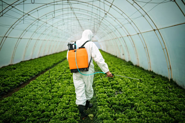 Best Residential Pest Control  in Fair Lawn, NJ