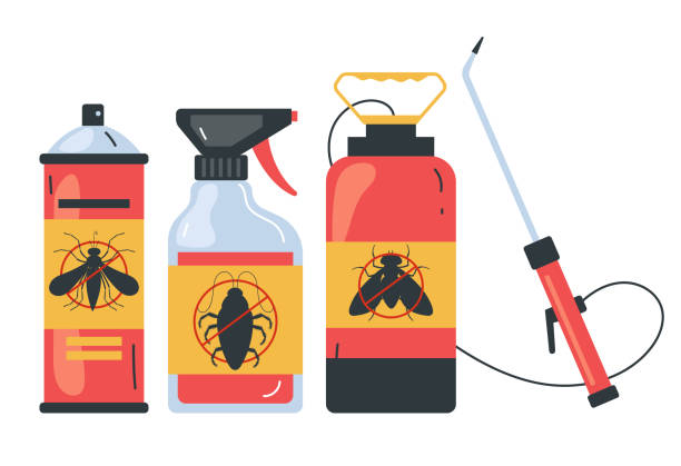Best Spider Control Near Me  in Fair Lawn, NJ