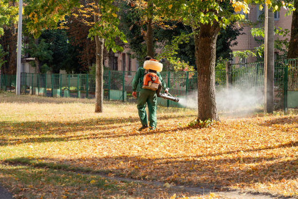 Best Emergency Pest Control  in Fair Lawn, NJ
