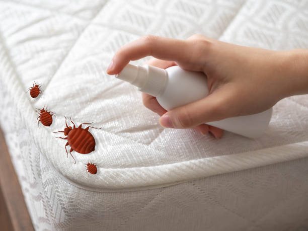 Best Bed Bug Extermination  in Fair Lawn, NJ