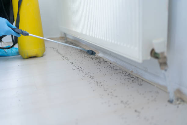 Pest Prevention Services in Fair Lawn, NJ