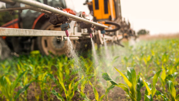 Best Mosquito Control Services  in Fair Lawn, NJ